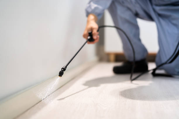 Certified termite inspector examining foundation in Dunkirk